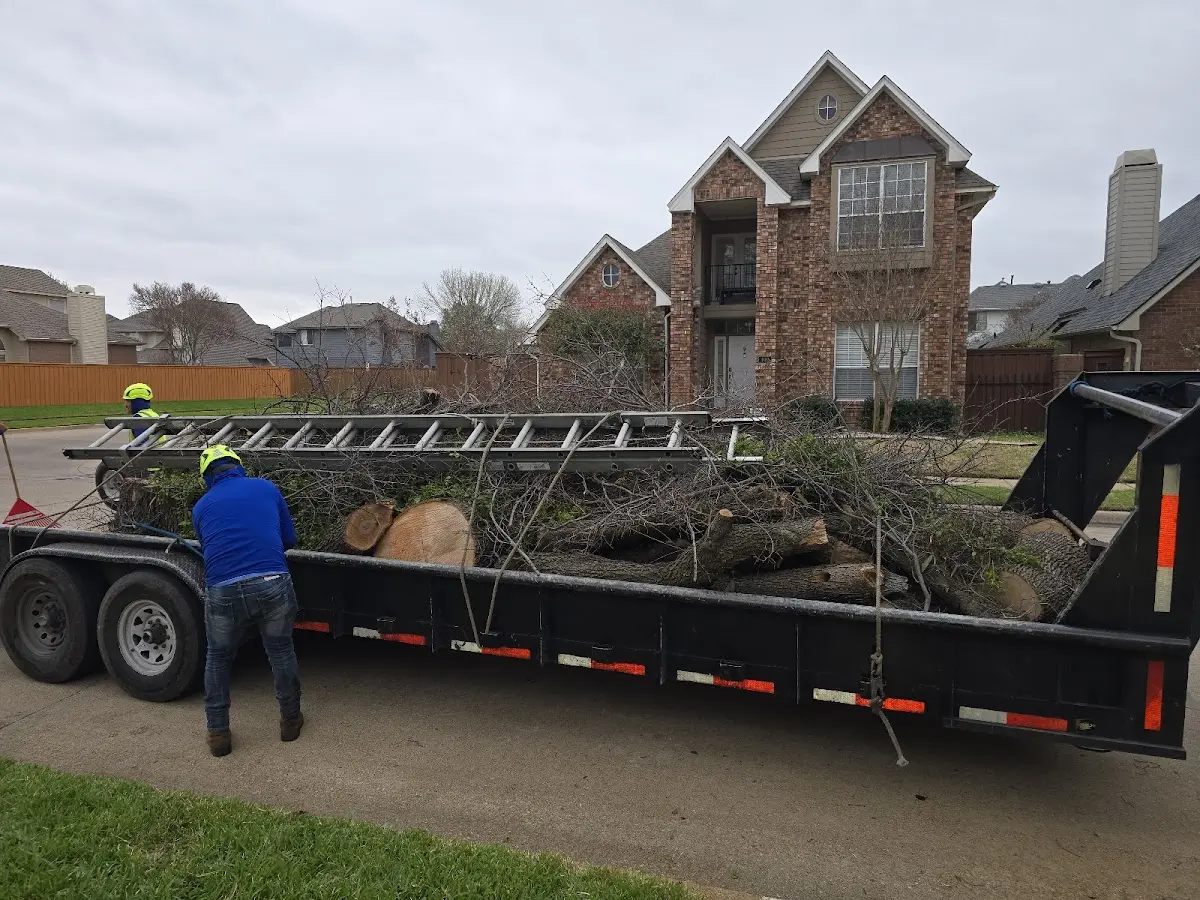 Expert Tree Pest Control with proper safety equipment in East Galesburg